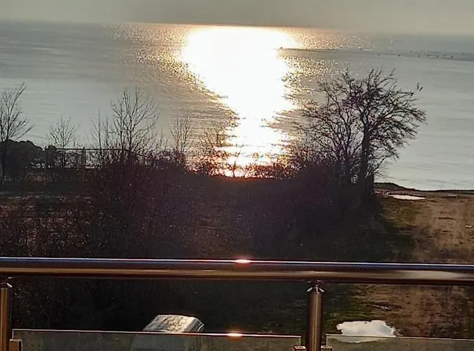 Stensi Atlantis Studia Равда